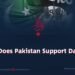 «Why Does Pakistan Support Daesh?»