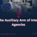 Daesh: The Auxiliary Arm of Intelligence Agencies