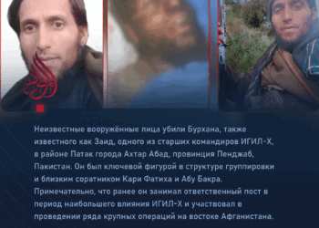 Неизвестные вооружённые лица убили Бурхана Заида, одного из старших командиров ИГИЛ-Х, в провинции Пенджаб.