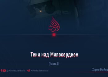 Тени над Милосердием