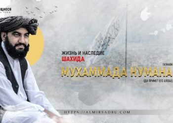 Жизнь и наследие шахида Мухаммада Нумана Газнави (да примет его Аллах)