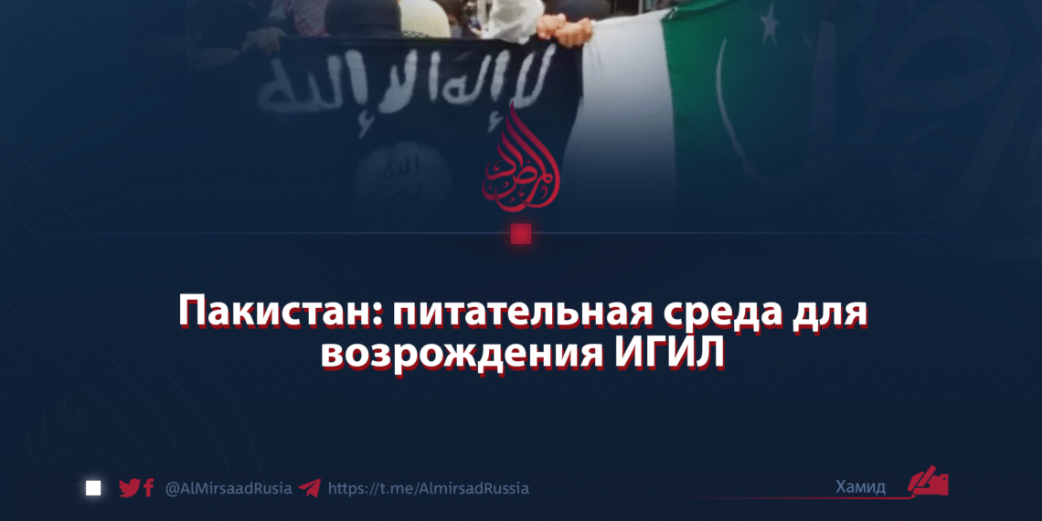 Пакистан: питательная среда для возрождения ИГИЛ