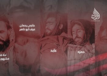 Источники в сфере безопасности сообщили изданию «Аль-Мирсаад», что в ходе операции в округе Оракзай были ликвидированы девять боевиков ИГИЛ, в том числе двое командиров.