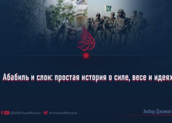 Абабиль и слон: простая история о силе, весе и идеях