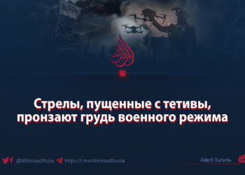 Стрелы, пущенные с тетивы, пронзают грудь военного режима