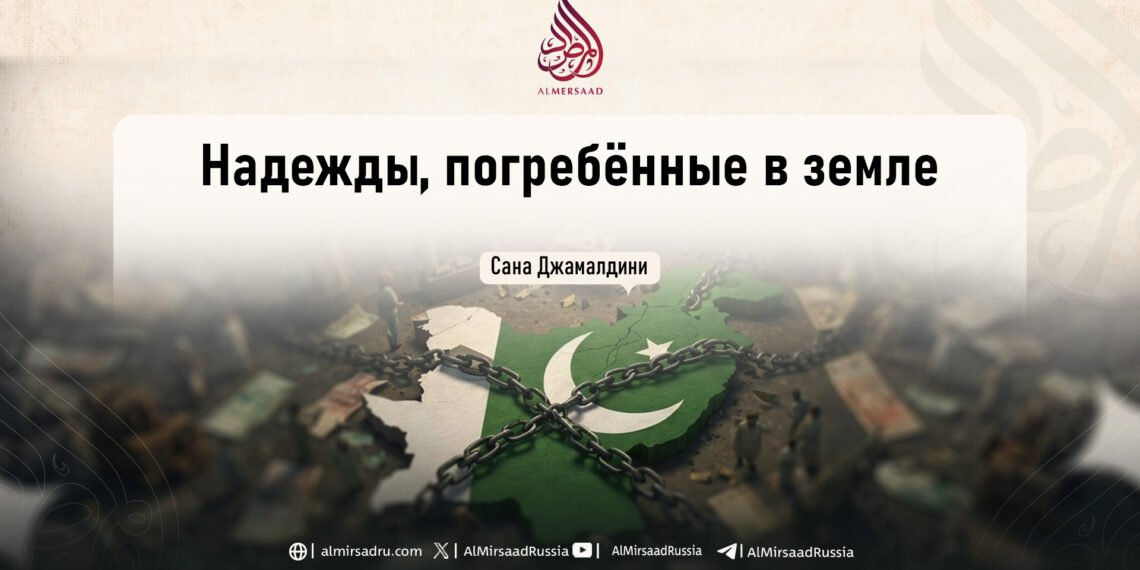 Надежды, погребённые в земле