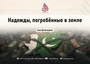 Надежды, погребённые в земле