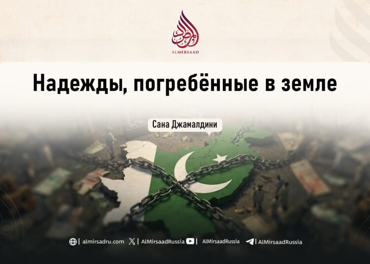 Надежды, погребённые в земле