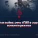 Скрытая война: роль ИГИЛ в структуре военного режима