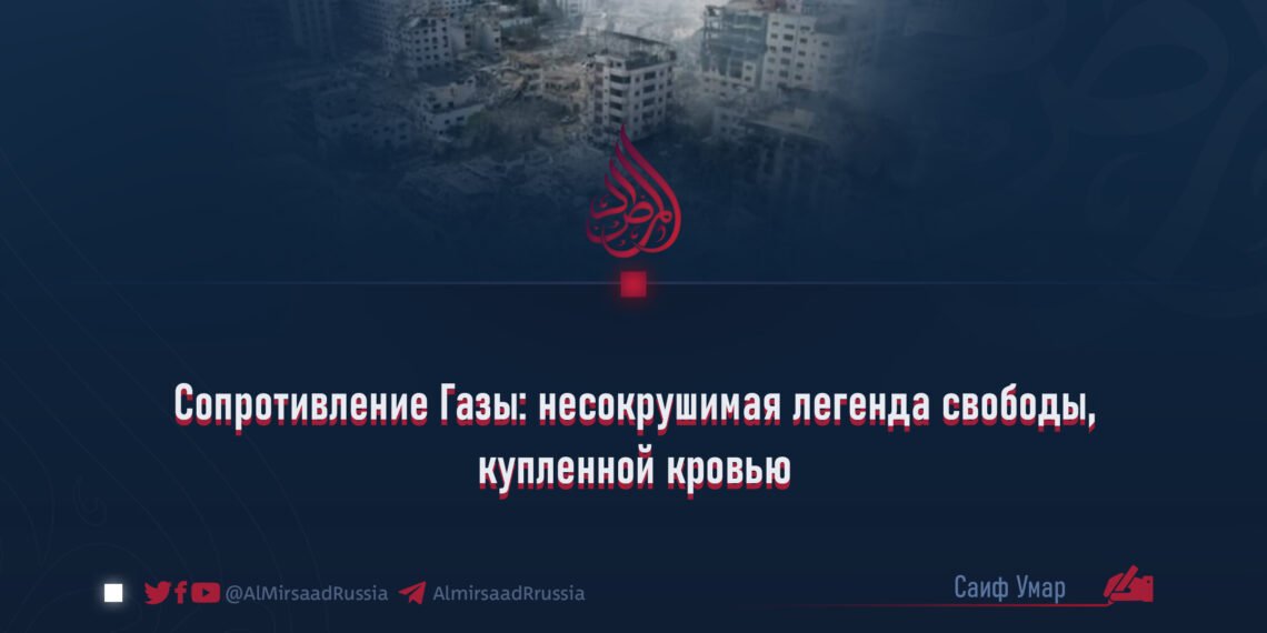 Сопротивление Газы: несокрушимая легенда свободы, купленной кровью