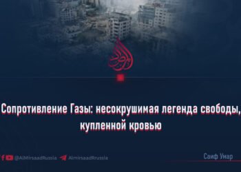 Сопротивление Газы: несокрушимая легенда свободы, купленной кровью