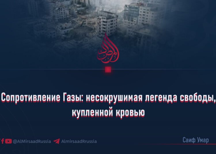 Сопротивление Газы: несокрушимая легенда свободы, купленной кровью