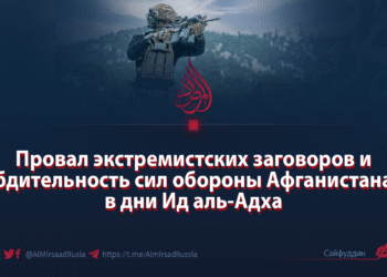 Провал экстремистских заговоров и бдительность сил обороны Афганистана в дни Ид аль-Адха