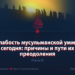 Слабость мусульманской уммы сегодня: причины и пути их преодоления