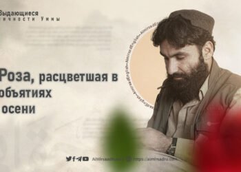 Роза, расцветшая в объятиях осени
