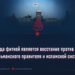 Какого рода фитной является восстание против законного мусульманского правителя и исламской системы?