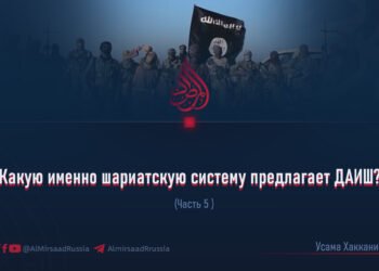 Какую именно шариатскую систему предлагает ДАИШ?