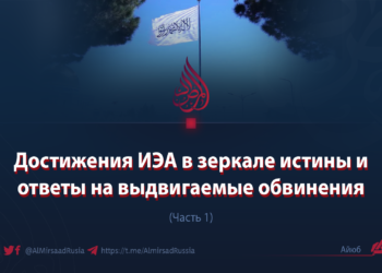 Достижения ИЭА в зеркале истины и ответы на выдвигаемые обвинения