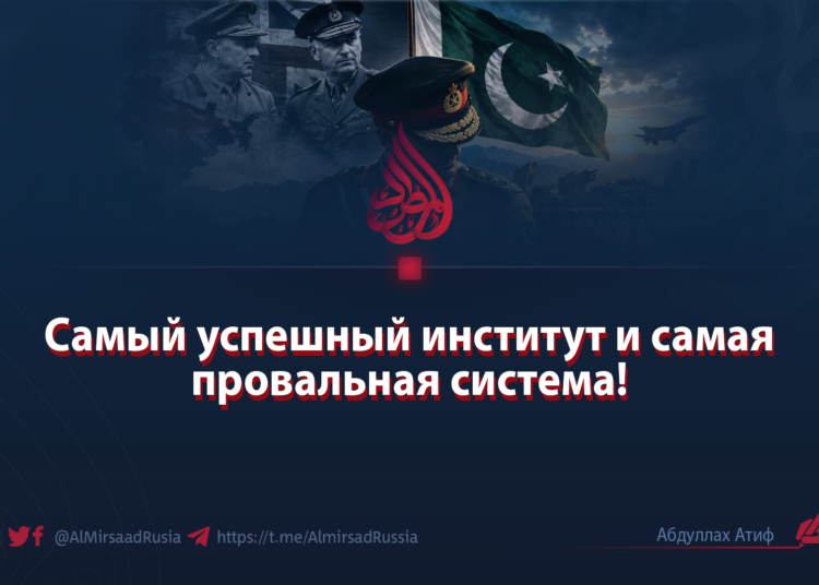 Самый успешный институт и самая провальная система!